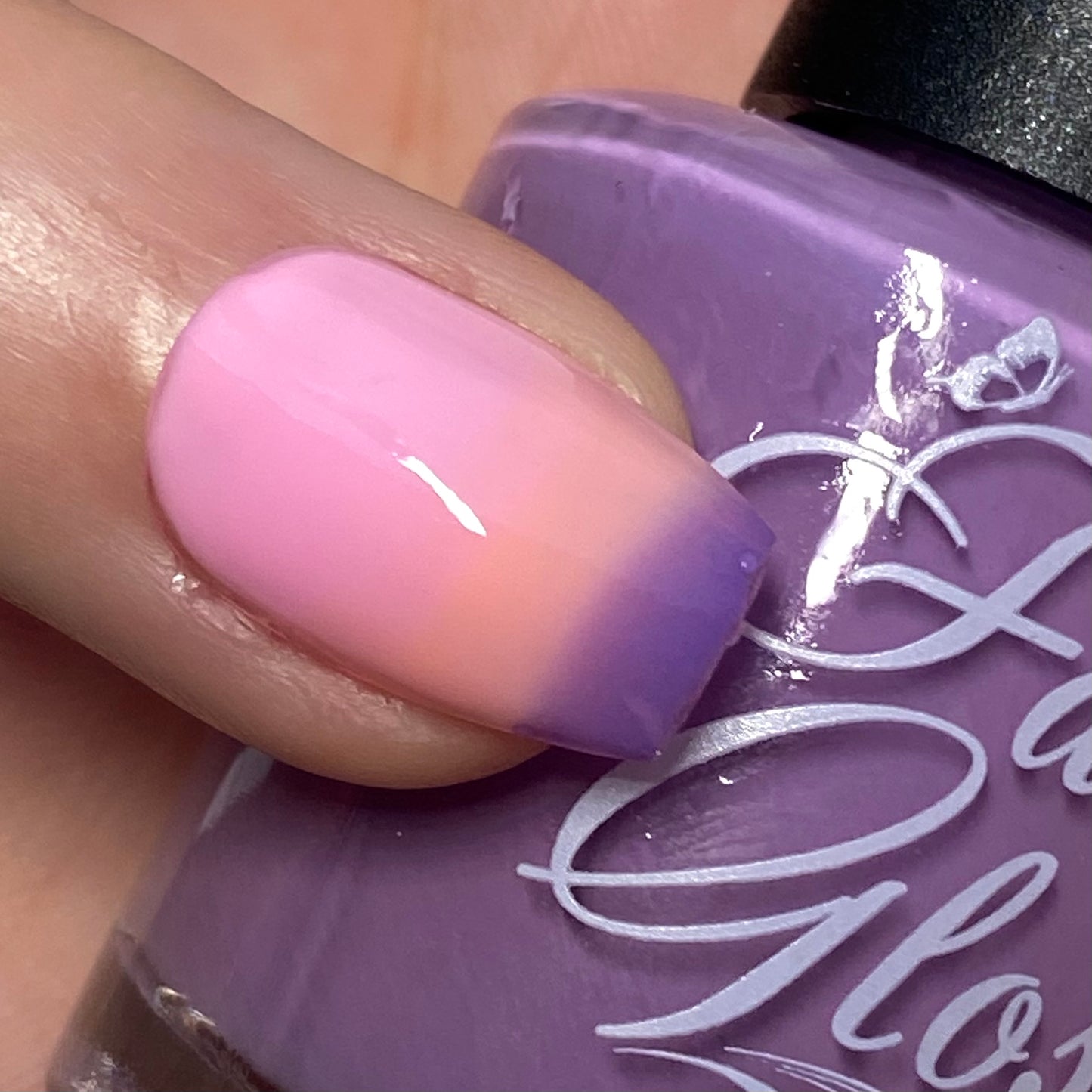 Sunlit Plum