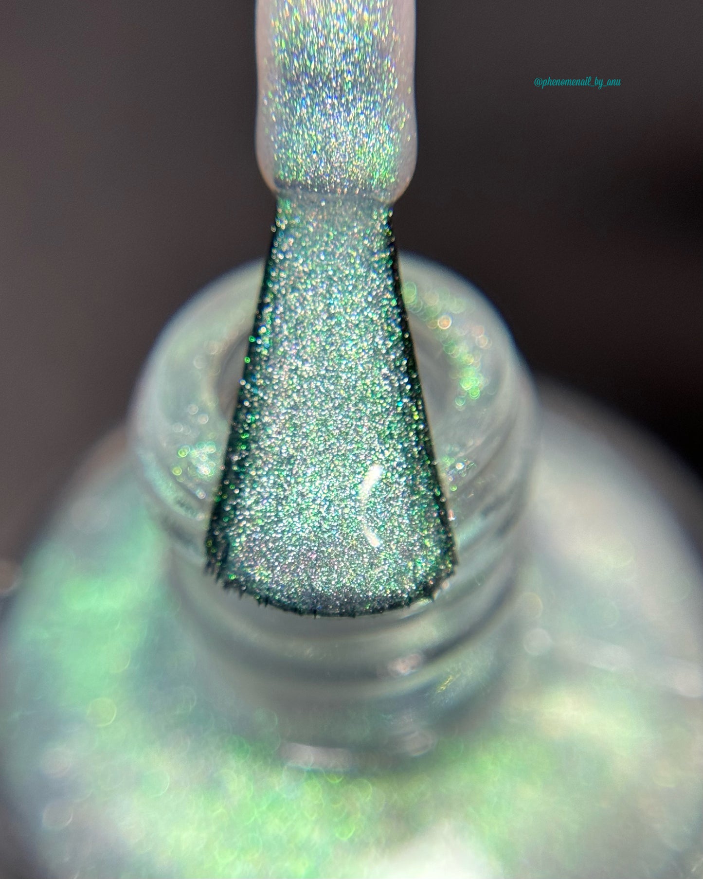 Space Gnome