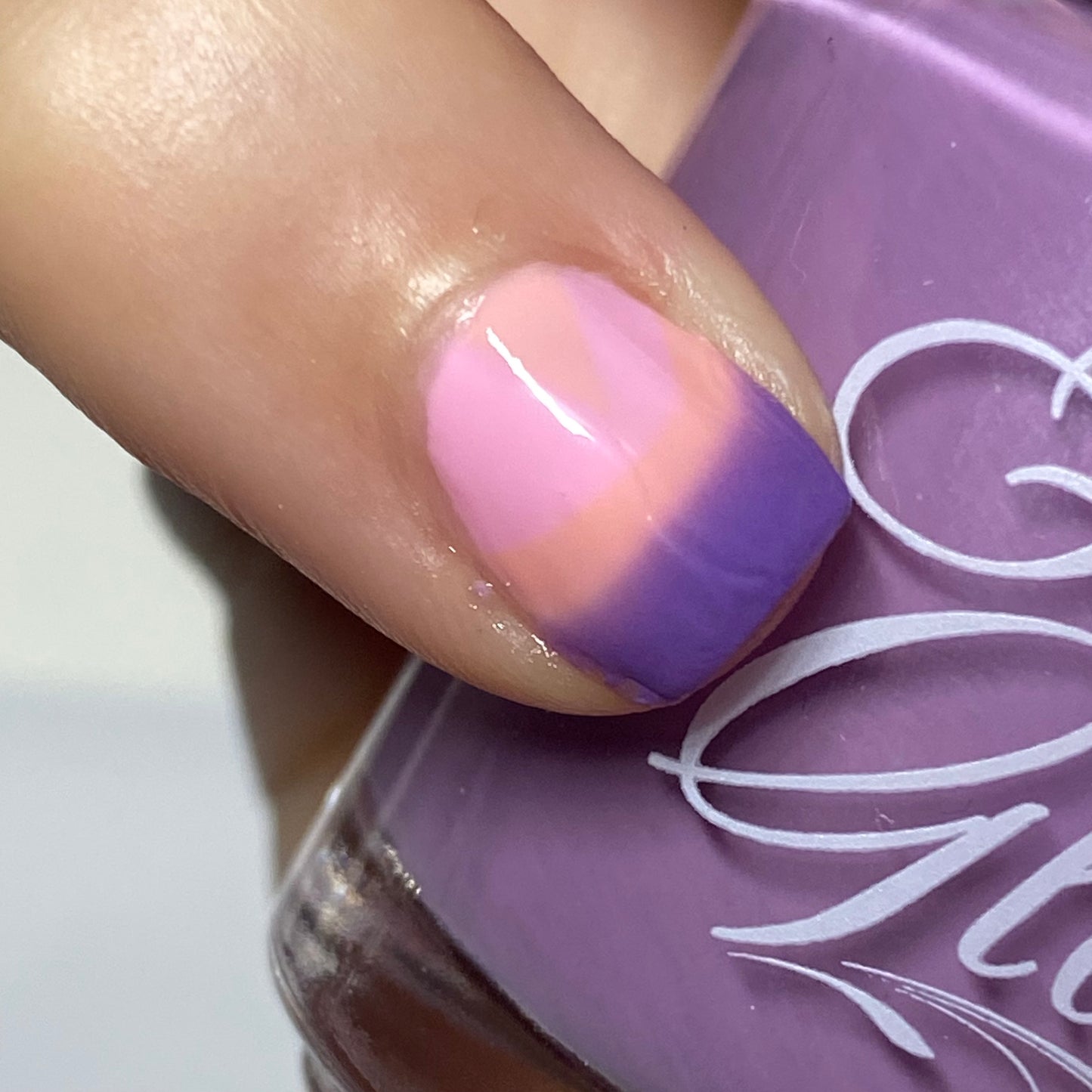 Sunlit Plum