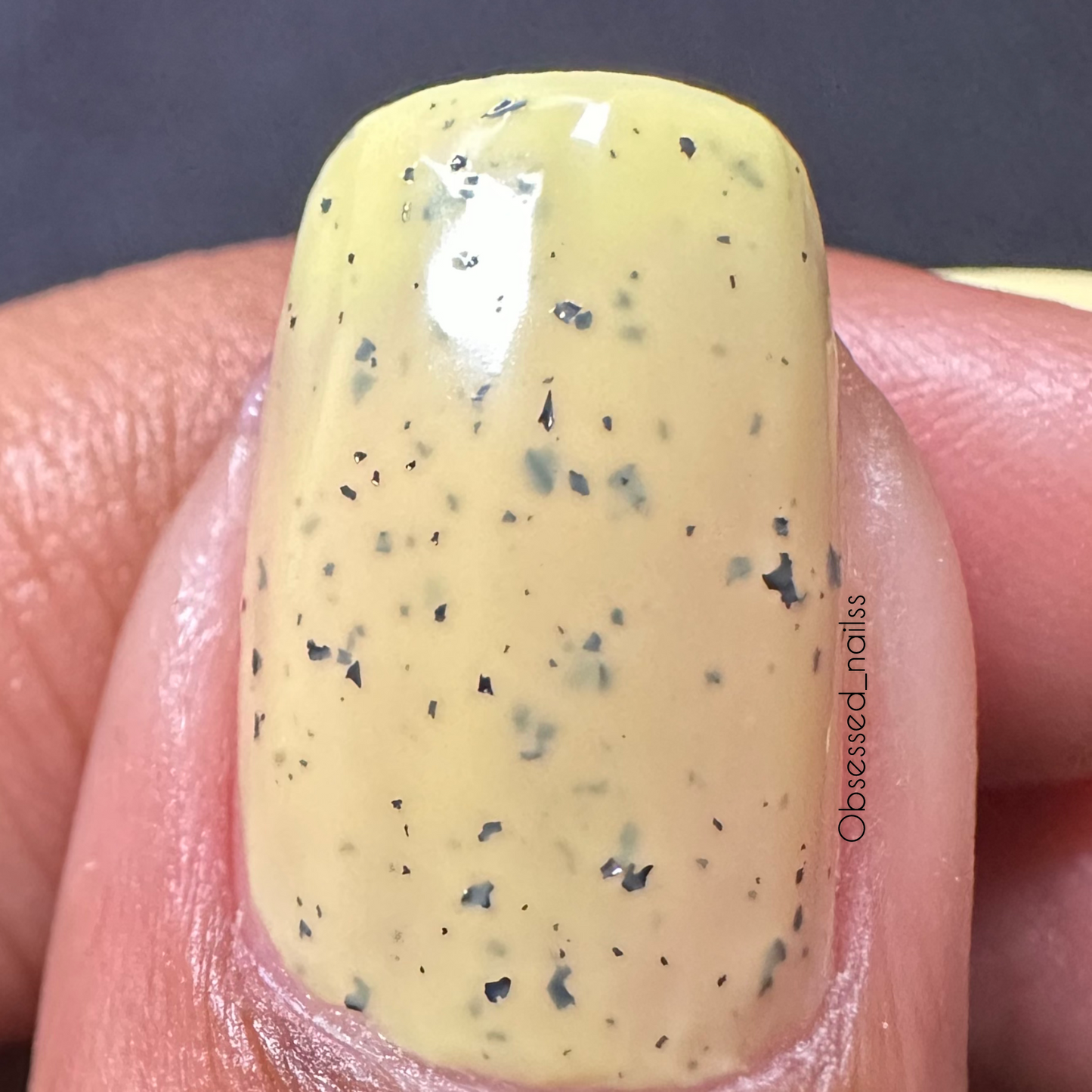 Yellow Speckled Egg