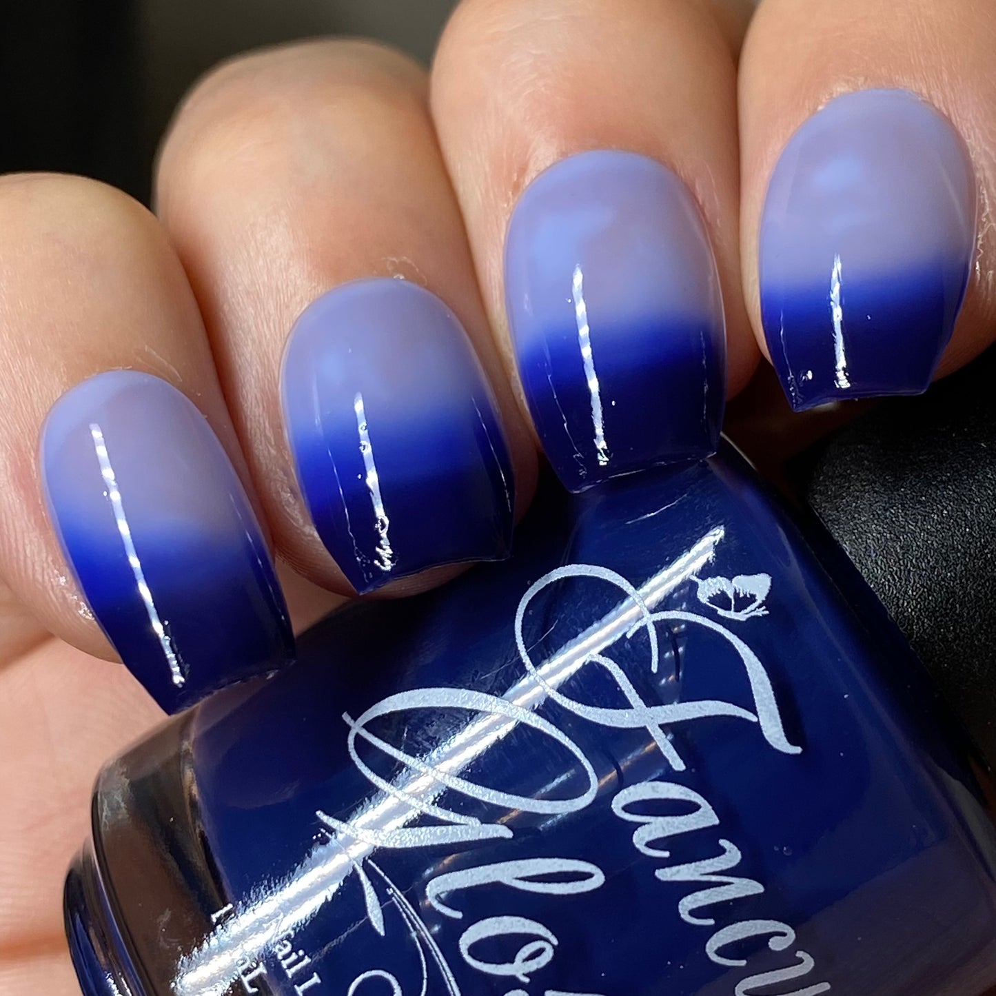 Blueberry Yogurt