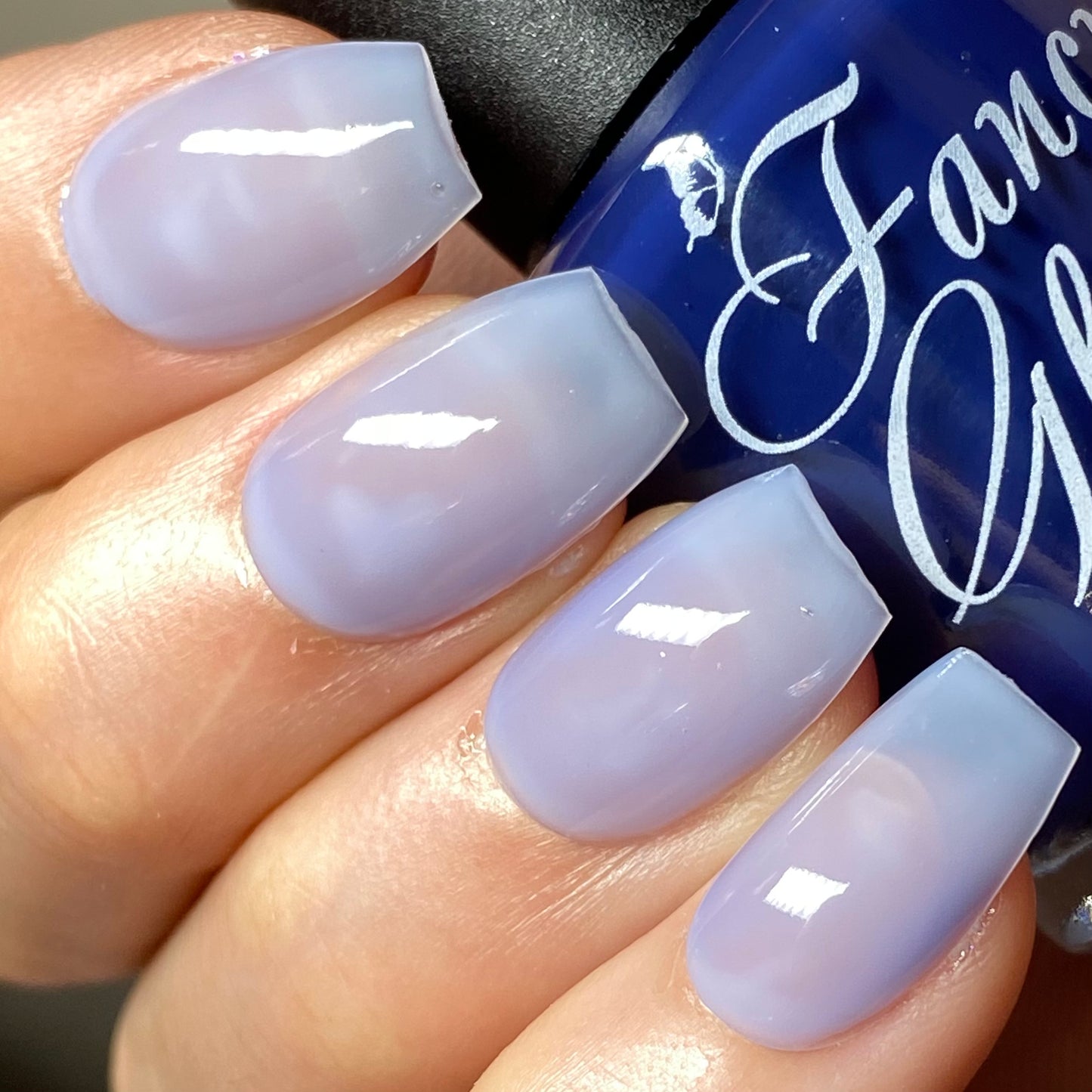 Blueberry Yogurt