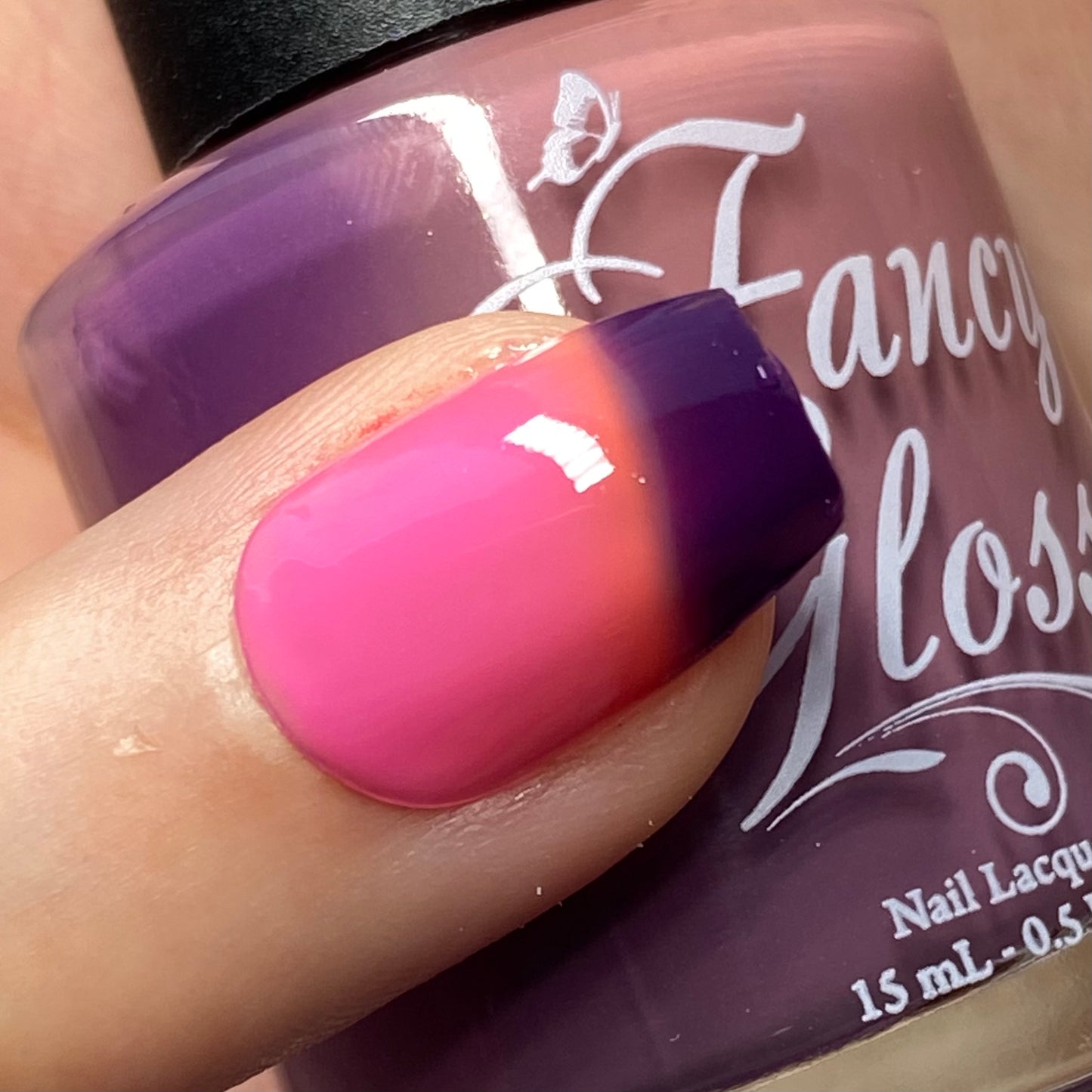 Nocturnal Plum