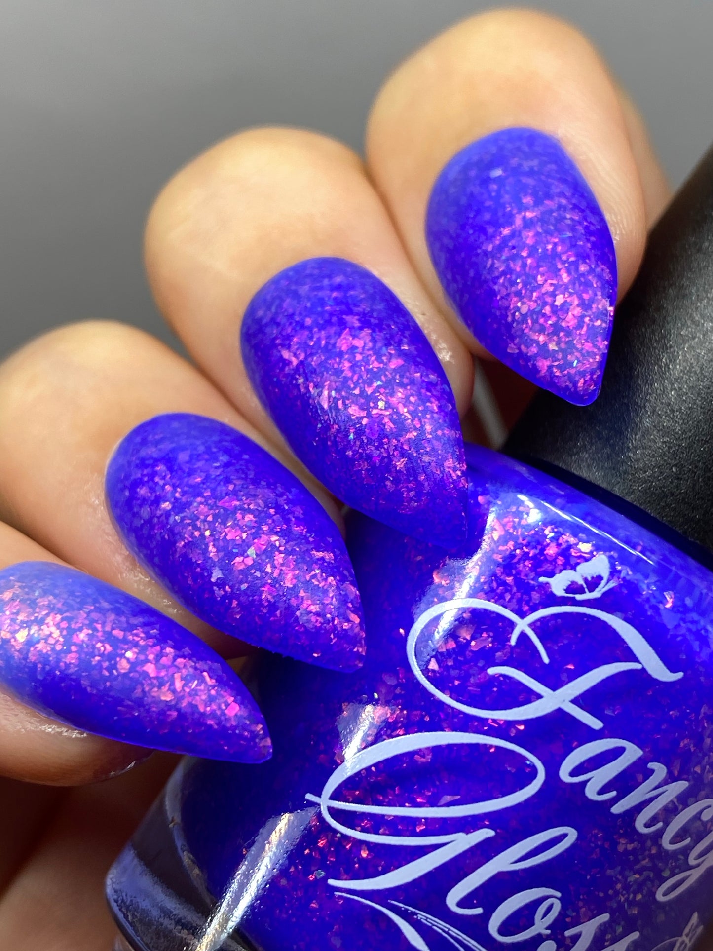 Blueberry Cheesecake