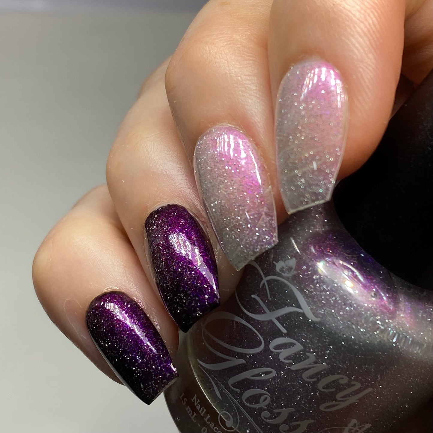 Lavender Reflection