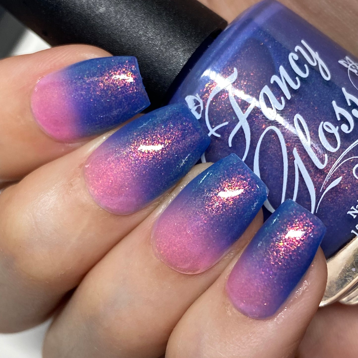 Tropical Daydream