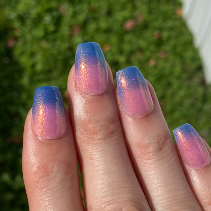 Tropical Daydream