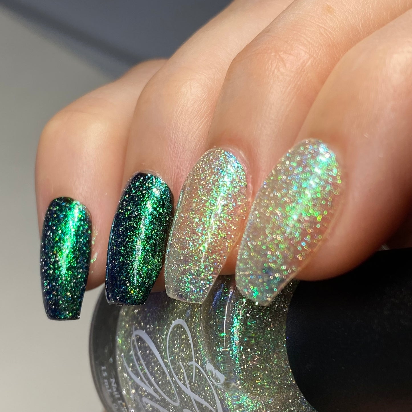 Tropical Reflection