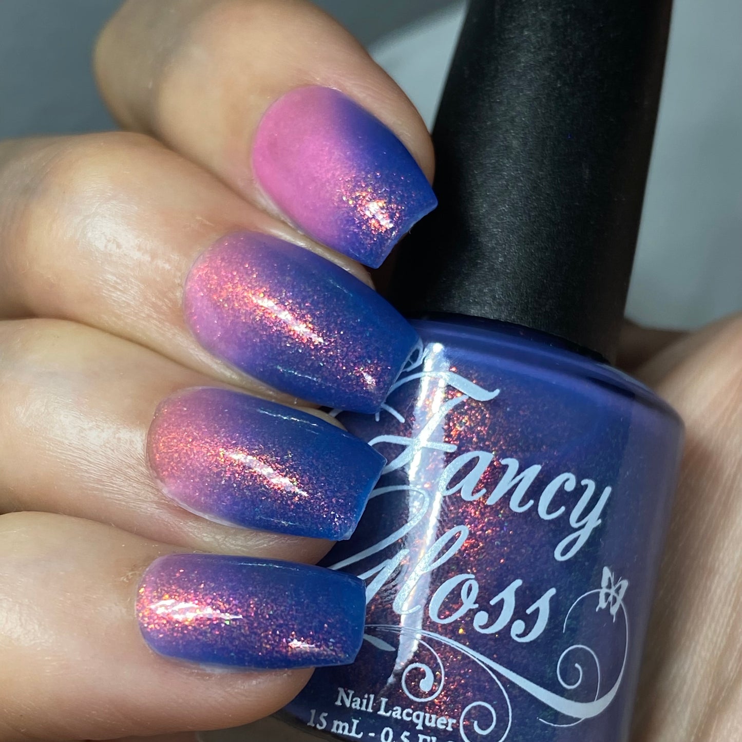 Tropical Daydream