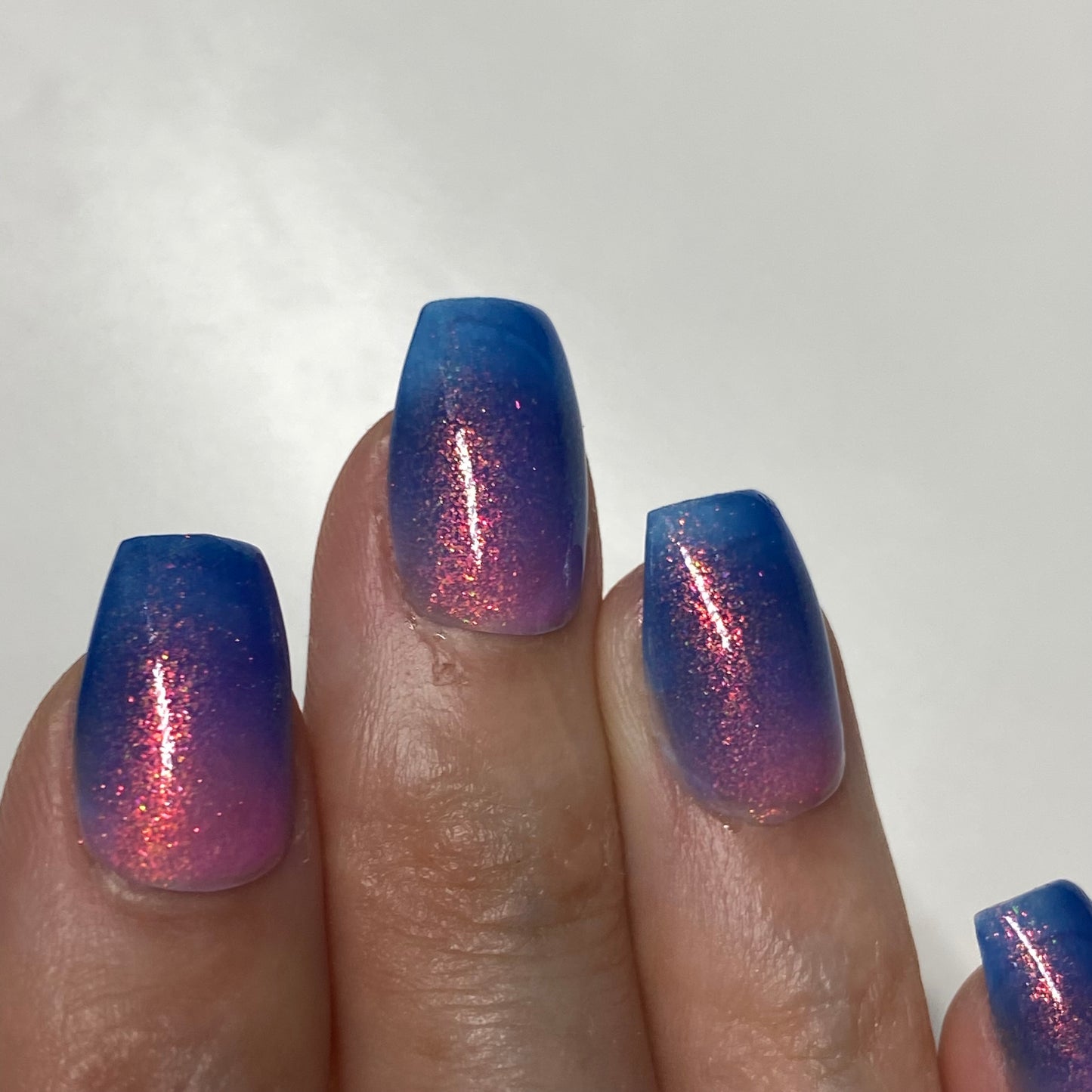 Tropical Daydream