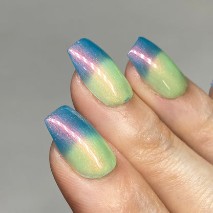 Bioluminescence Jellyfish