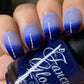 Blueberry Yogurt