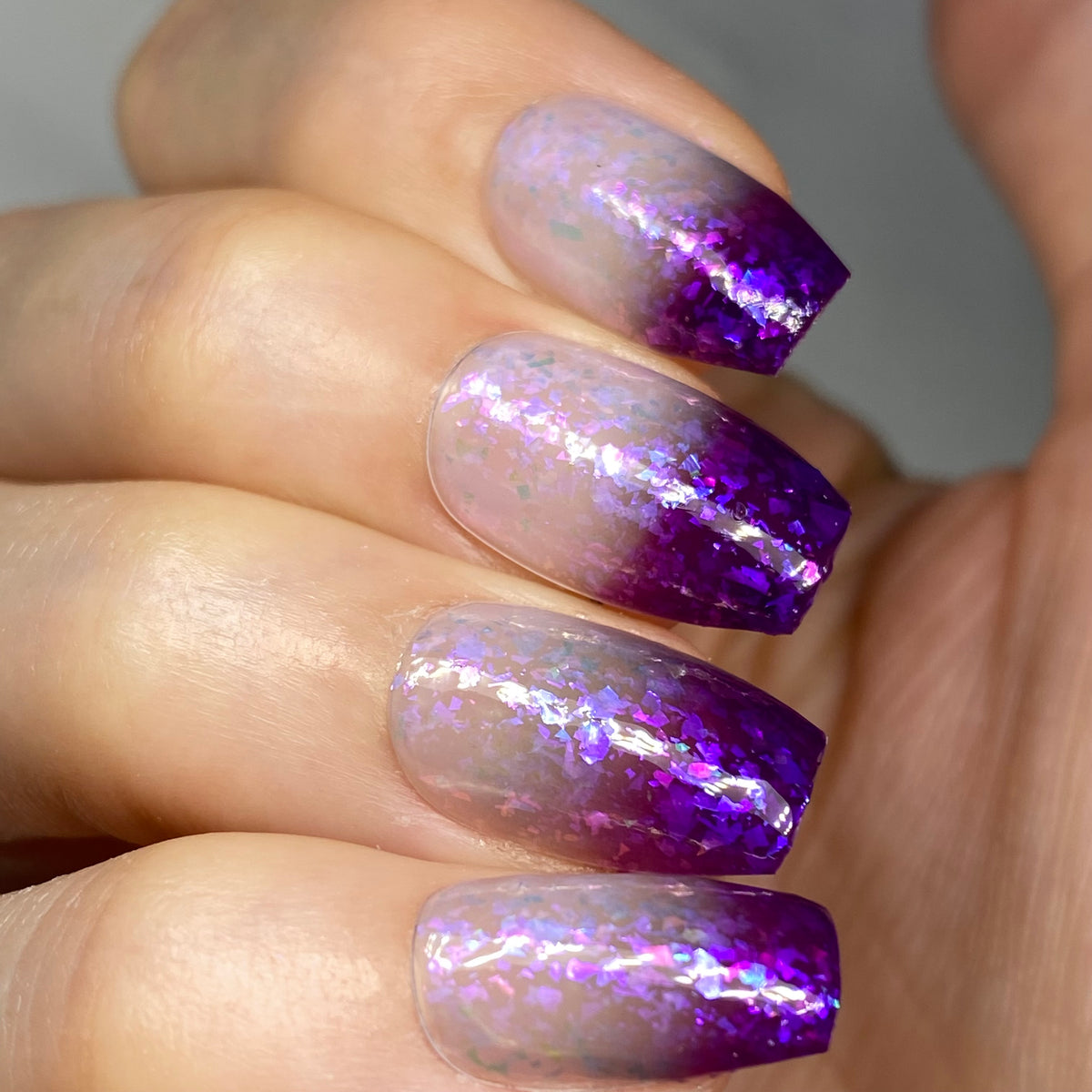 Purple Rainbow