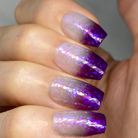 Purple Rainbow