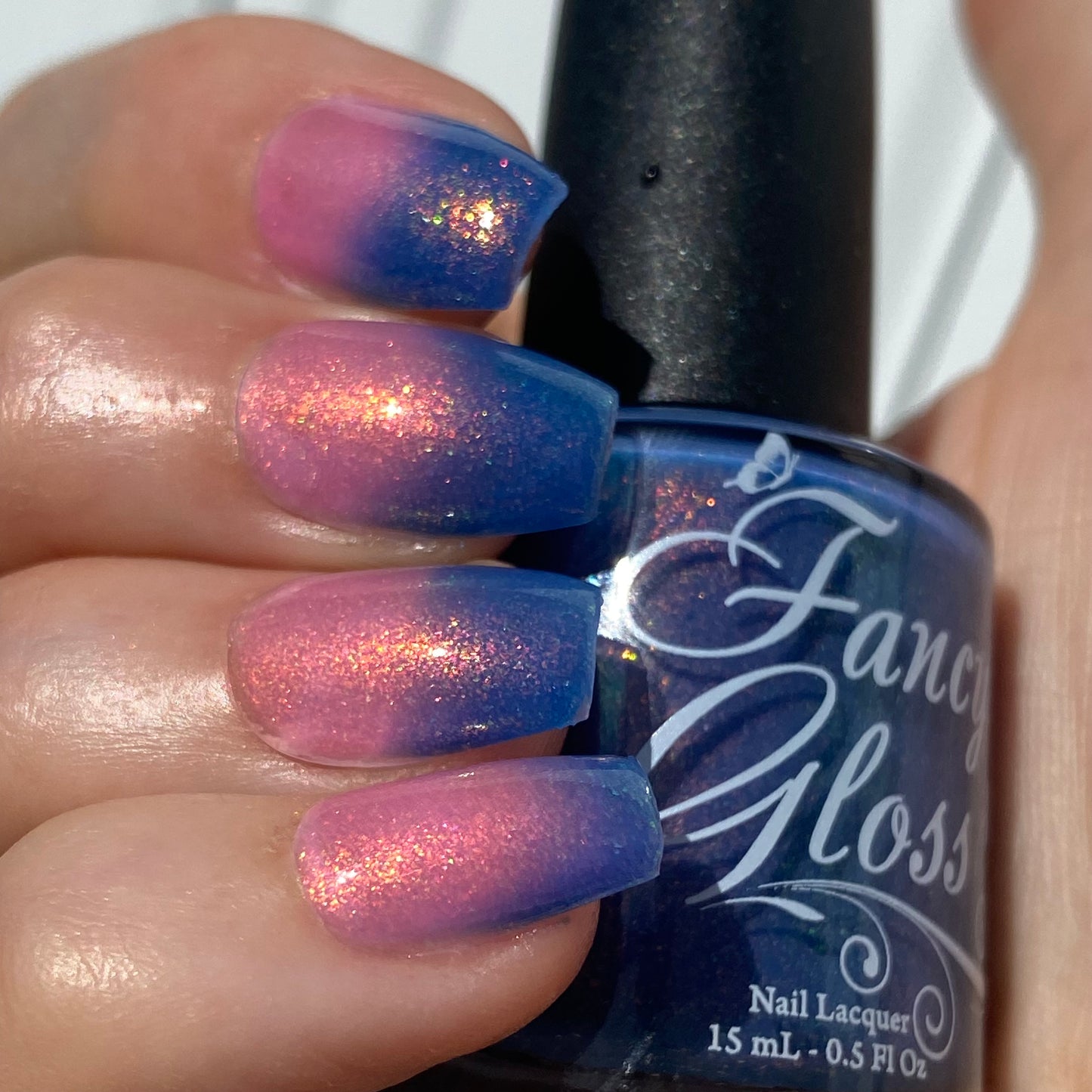 Tropical Daydream