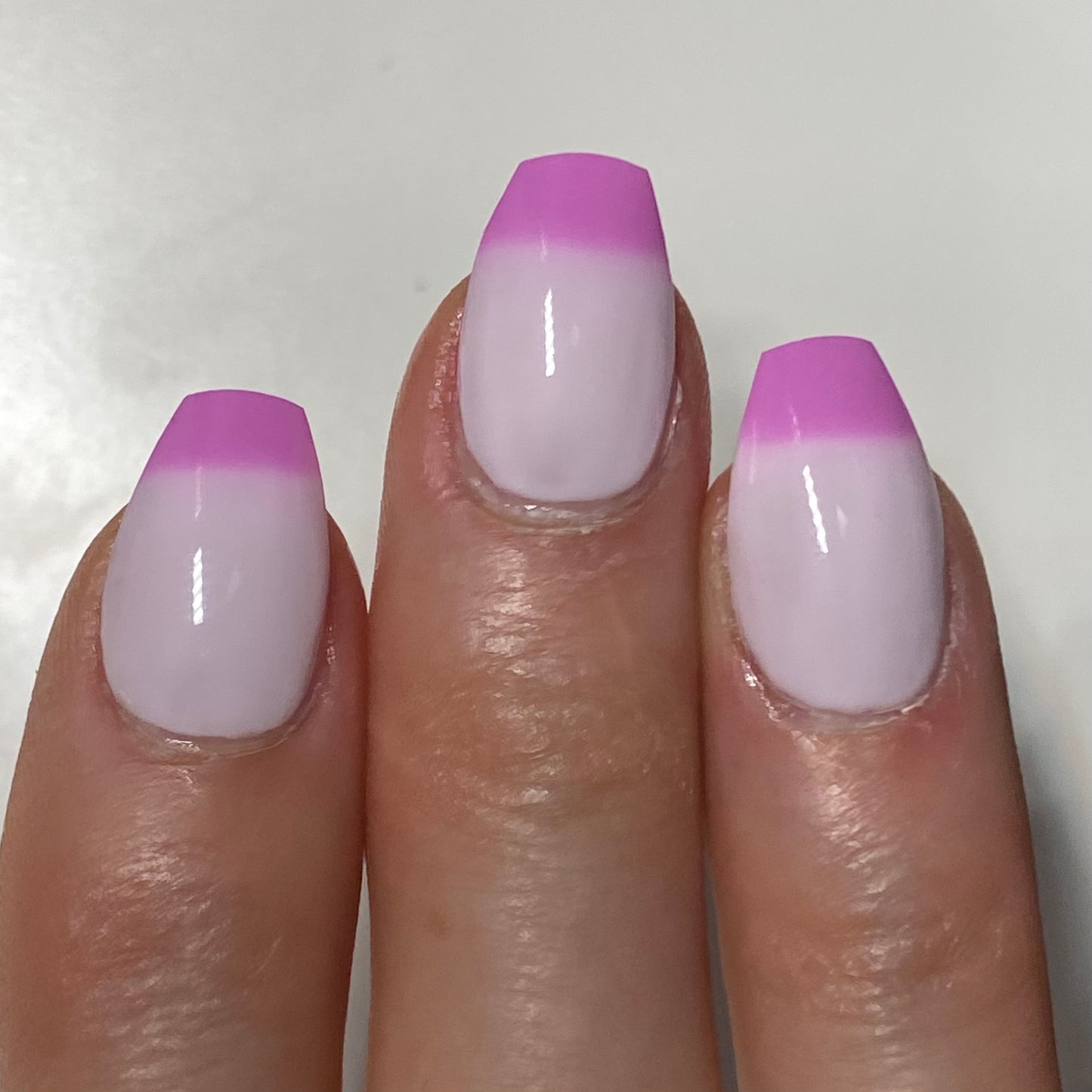 Fading Petal