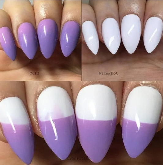 Lavender & Lace
